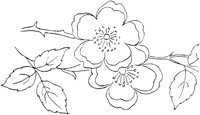 FLM018H.TIF
