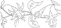FLM018G.TIF