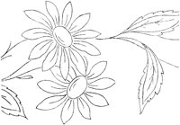 FLM018F.TIF