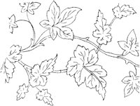 FLM018E.TIF