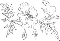 FLM018D.TIF