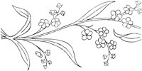 FLM018C.TIF