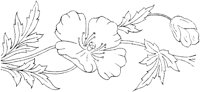 FLM018B.TIF