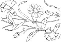 FLM018A.TIF