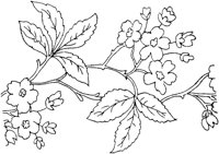 FLM015H.TIF