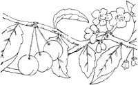 FLM015G.TIF
