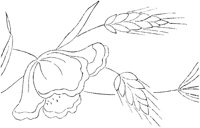 FLM015A.TIF