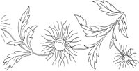 FLM013C.TIF