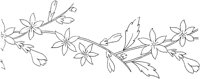 FLM012B.TIF