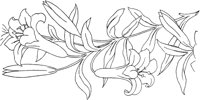 FLM012A.TIF
