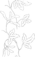 FLM010A.TIF