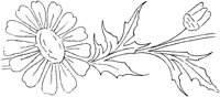 FLM009I.TIF
