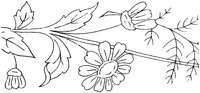 FLM009H.TIF