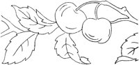 FLM009G.TIF