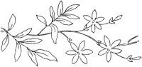 FLM009C.TIF