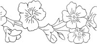 FLM009B.TIF