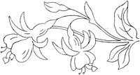 FLM009A.TIF