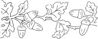 FLM008J.TIF