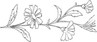FLM008E.TIF