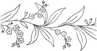 FLM008A.TIF