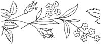 FLM007K.TIF