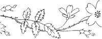 FLM007I.TIF