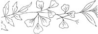 FLM007D.TIF