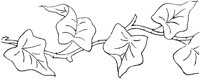 FLM007C.TIF