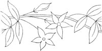 FLM007B.TIF