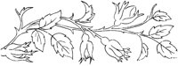 FLM007A.TIF