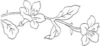 FLM006J.TIF