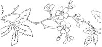 FLM006I.TIF