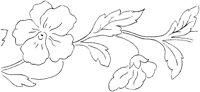 FLM006H.TIF
