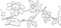 FLM006G.TIF