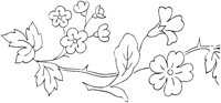 FLM006C.TIF