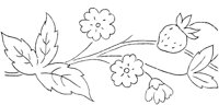 FLM006A.TIF