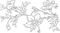 FLM005B.TIF
