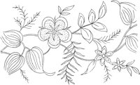 FLM004B.TIF