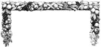 FMF041A.TIF