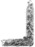 FMF039F.TIF