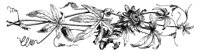 FMF039A.TIF