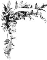 FMF038A.TIF
