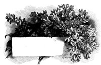 FMF037F.TIF