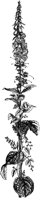 FMF034C.TIF