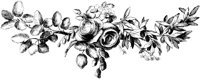 FMF031D.TIF
