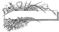 FMF026E.TIF