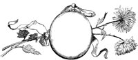 FMF026C.TIF
