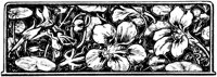 FMF024C.TIF