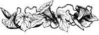 FMF022C.TIF
