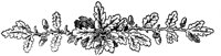 FMF021D.TIF